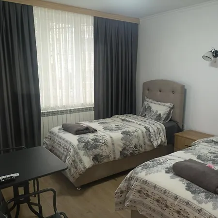 еко стил Guest house Borino